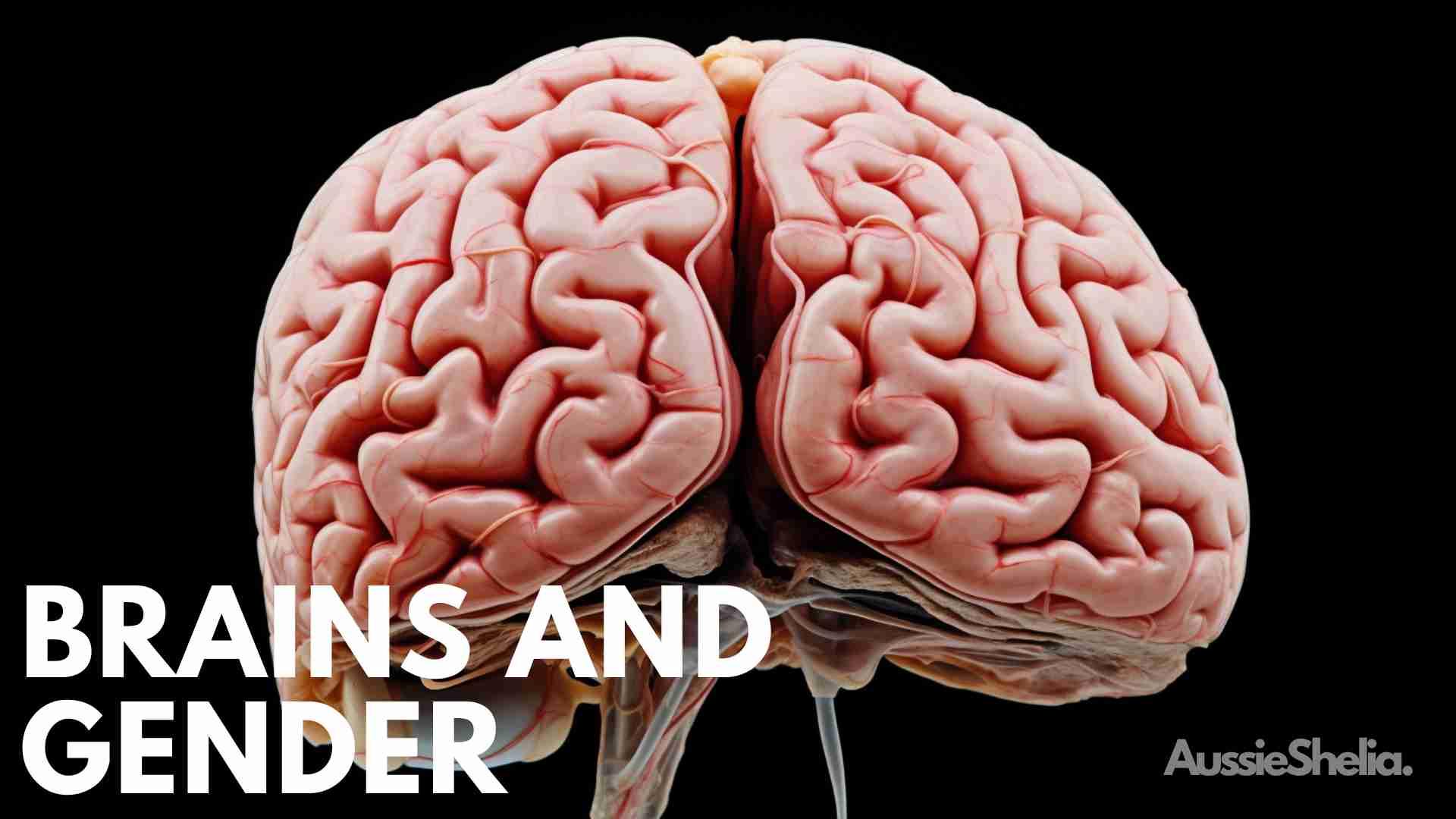 Brains and Gender